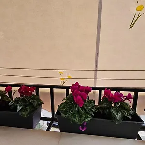 Center Appartement Tirana